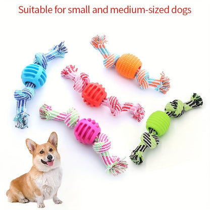 Jouet à mâcher interactif pour chien – Avec boutons colorés et balle en caoutchouc