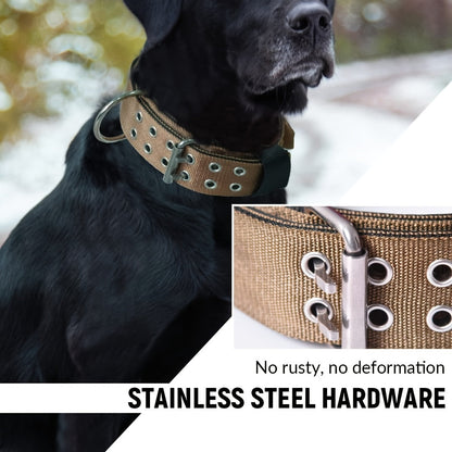 Collier pour chien en nylon réglable – Confort et contrôle pour grands chiens