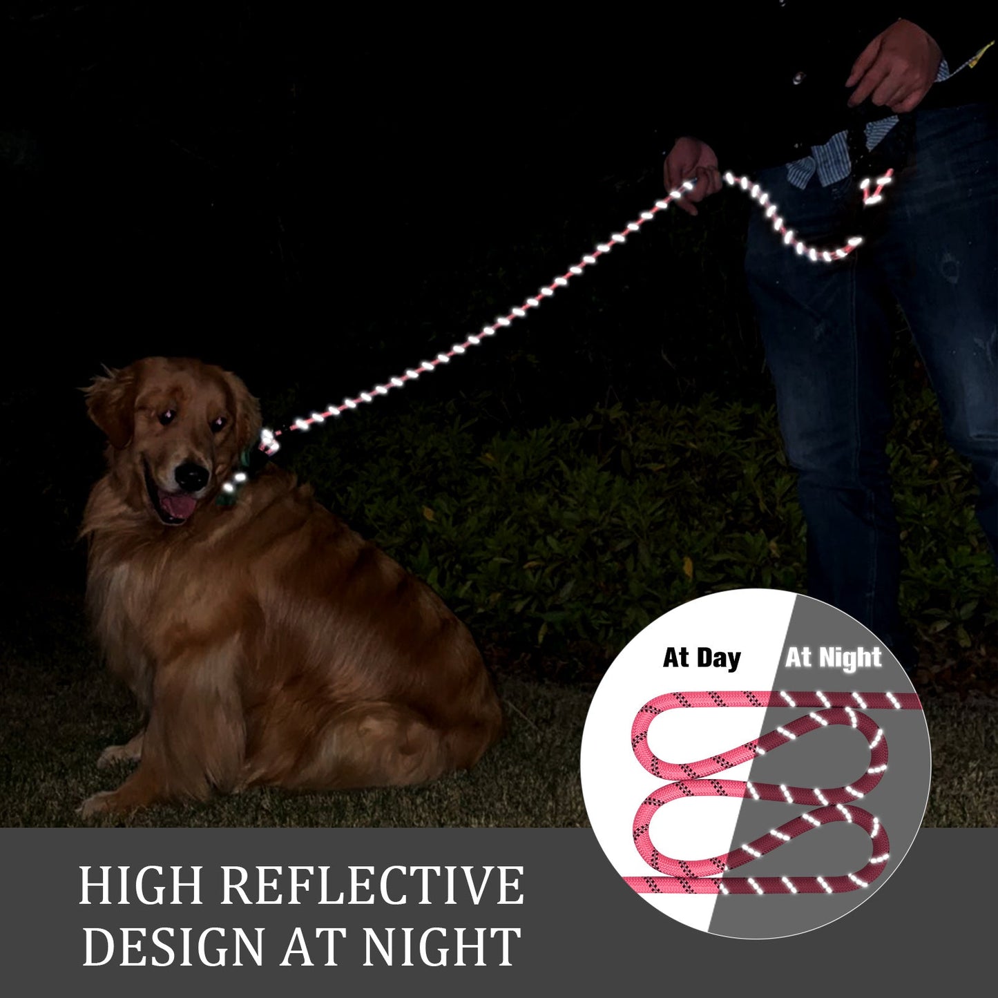 Laisse réfléchissante pour chien avec poignée rembourrée – Réglable et durable pour tous les chiens