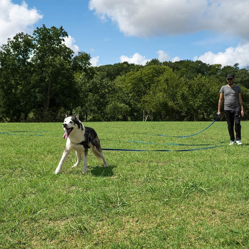 Laisse longue en nylon – Parfaite pour l’entraînement et les activités en plein air