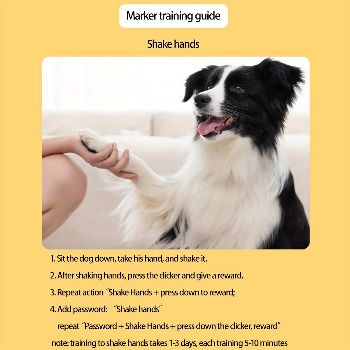 Bouton d’entraînement pour chien – Améliorez les commandes et le comportement de votre chien
