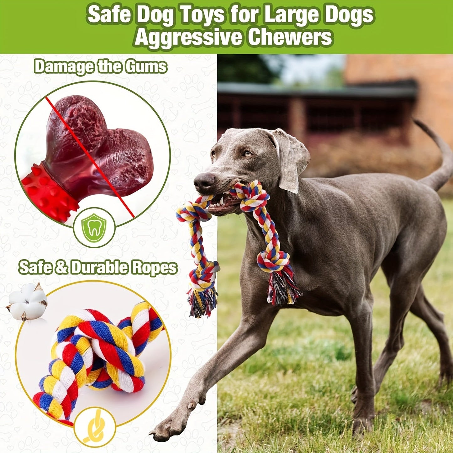 Set de 4 jouets pour chien – Idéal pour mâcher, mordiller et jouer