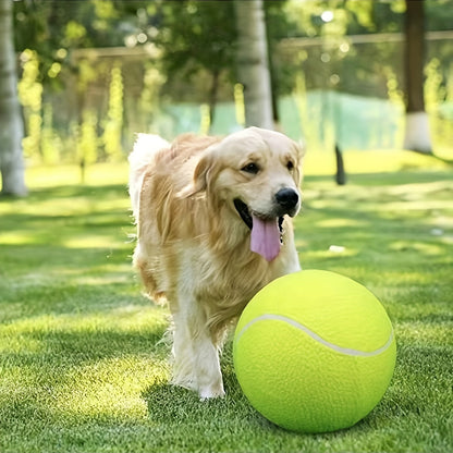 Balle de tennis extra résistante pour grands chiens – Idéale pour le jeu et l’activité en extérieur