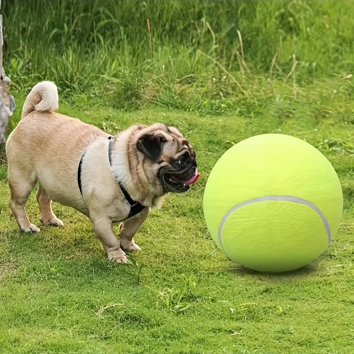 Balle de tennis extra résistante pour grands chiens – Idéale pour le jeu et l’activité en extérieur