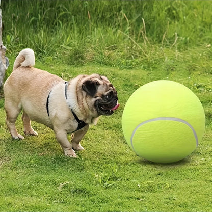 Balle de tennis extra résistante pour grands chiens – Idéale pour le jeu et l’activité en extérieur
