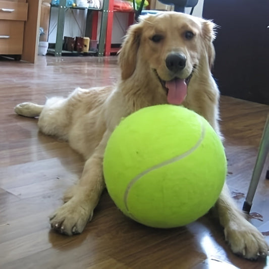 Balle de tennis extra résistante pour grands chiens – Idéale pour le jeu et l’activité en extérieur