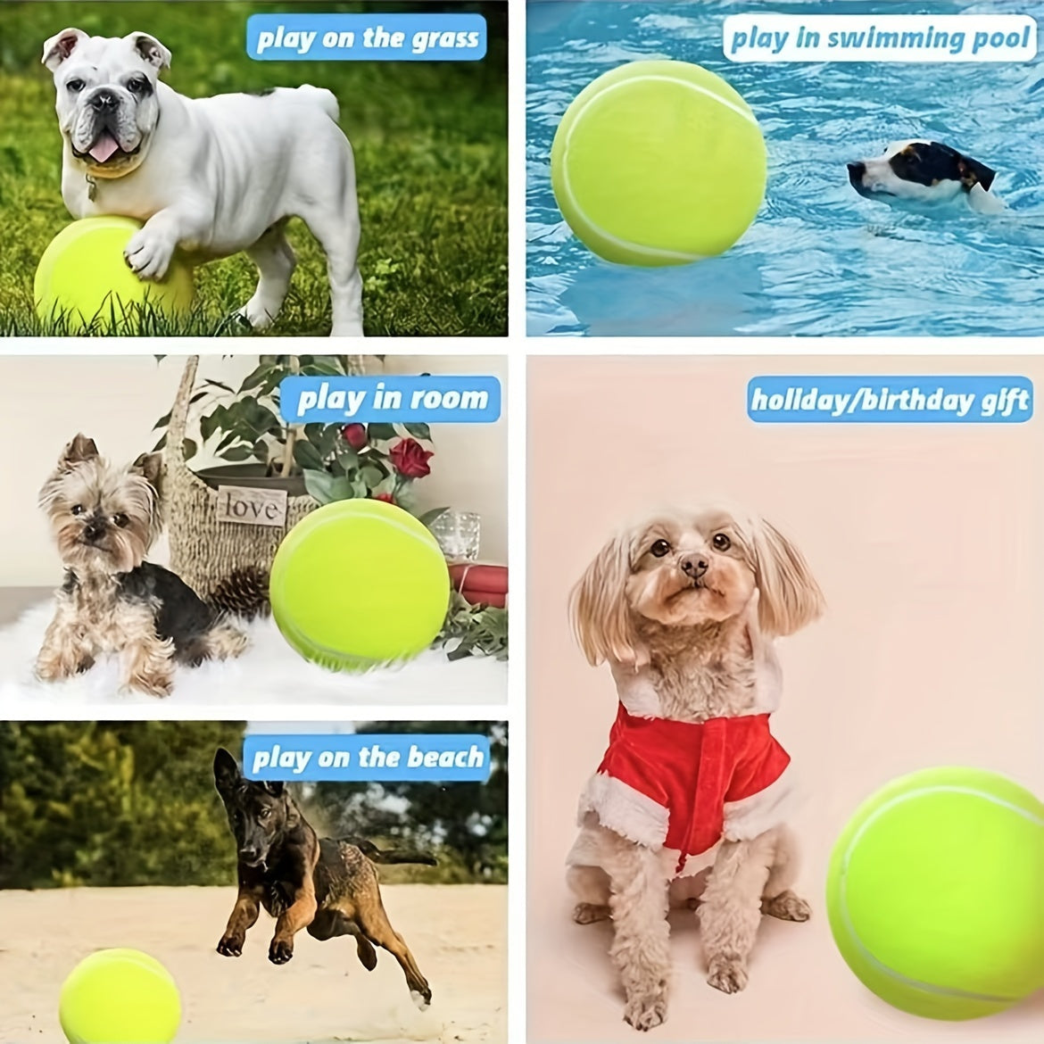 Balle de tennis extra résistante pour grands chiens – Idéale pour le jeu et l’activité en extérieur