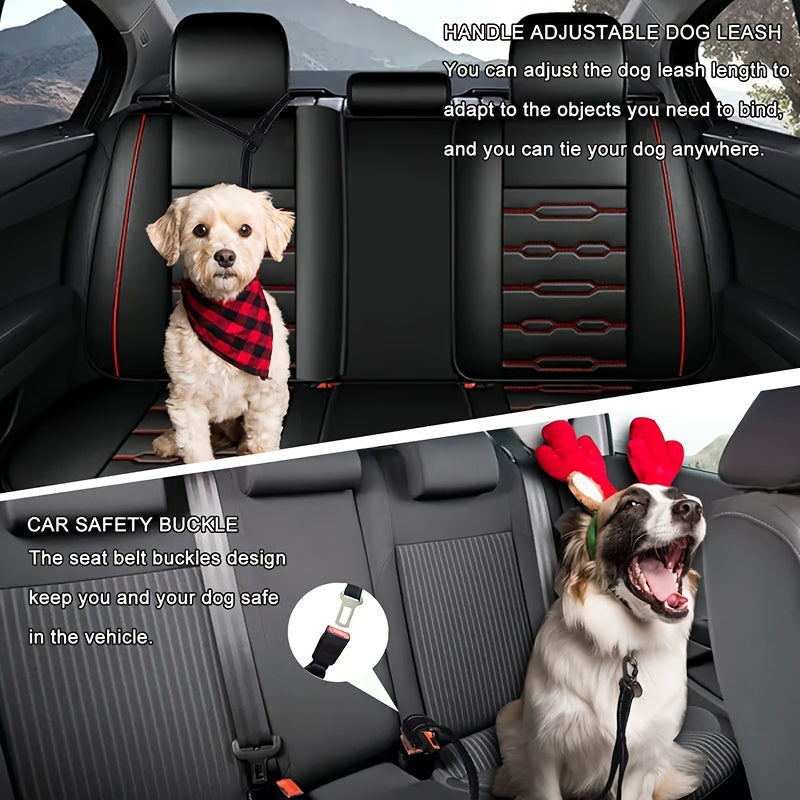 Laisse bungee réglable pour chien – Amortissante et réfléchissante pour grands chiens
