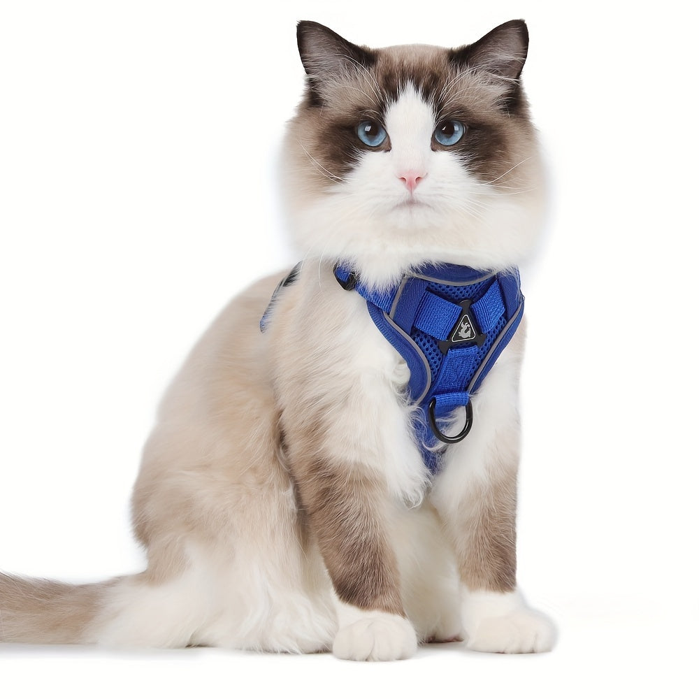 Harnais réfléchissant pour chat avec ensemble laisse – Idéal pour les promenades et l’entraînement