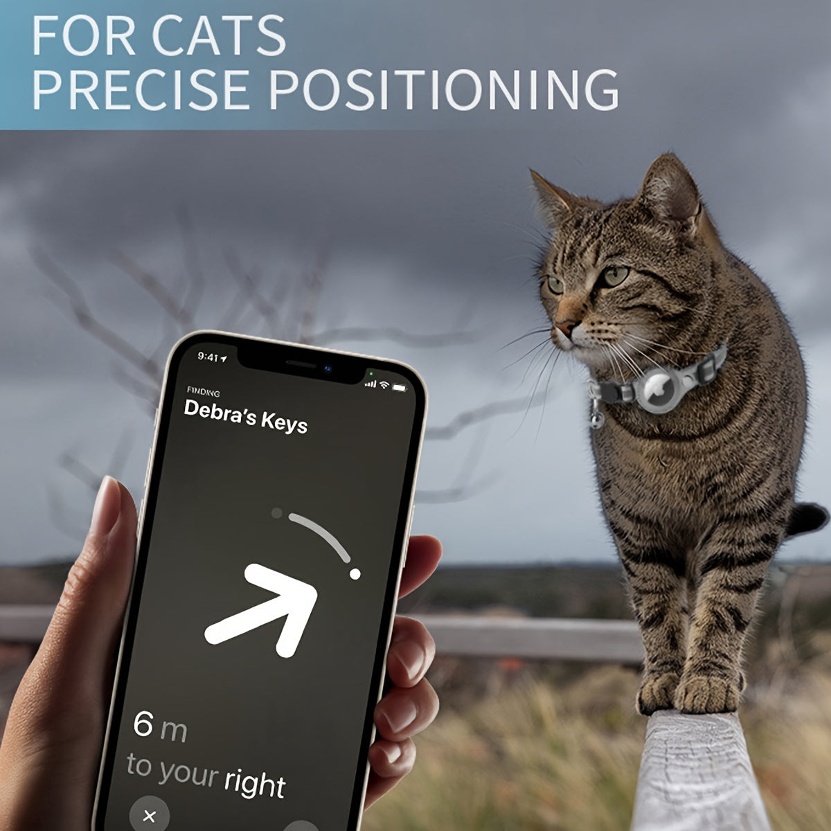 Collier pour chat réfléchissant – Boucle de sécurité et clochette pour une visibilité accrue
