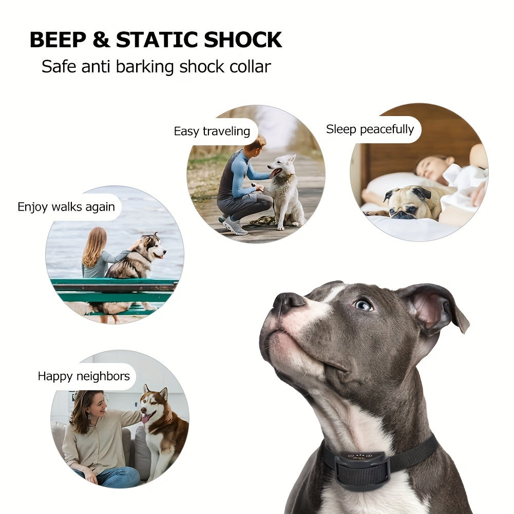 Collier pour chien rechargeable