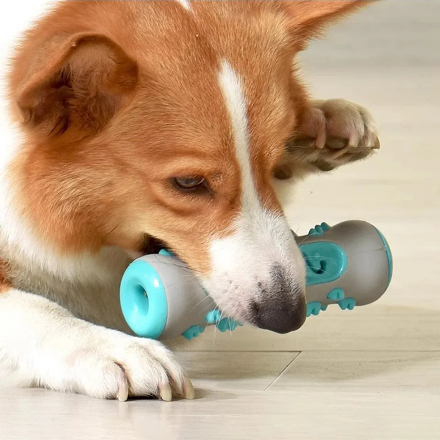 Jouet à mâcher pour chiens - Soin dentaire, sain et amusant