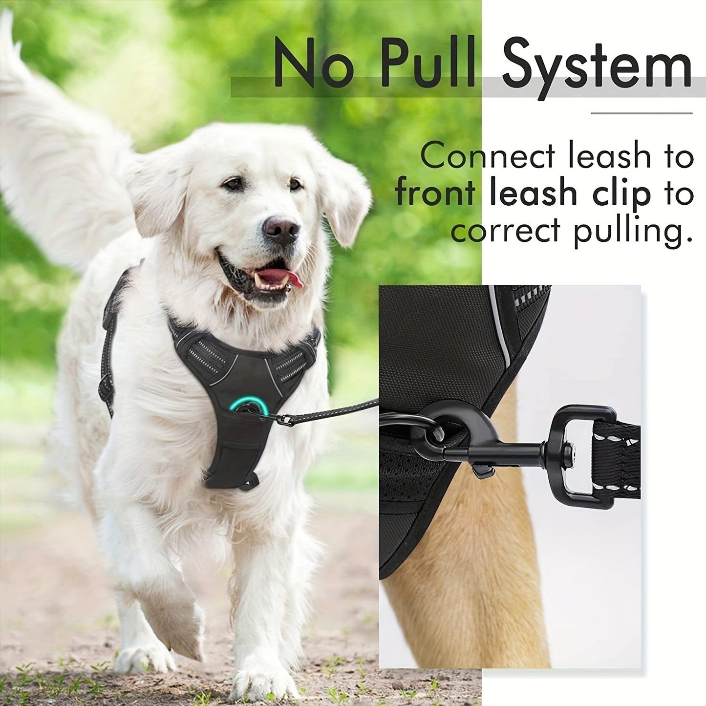 Harnais réfléchissant pour chien avec ensemble laisse – Réglable et sécuritaire pour promenades et entraînement