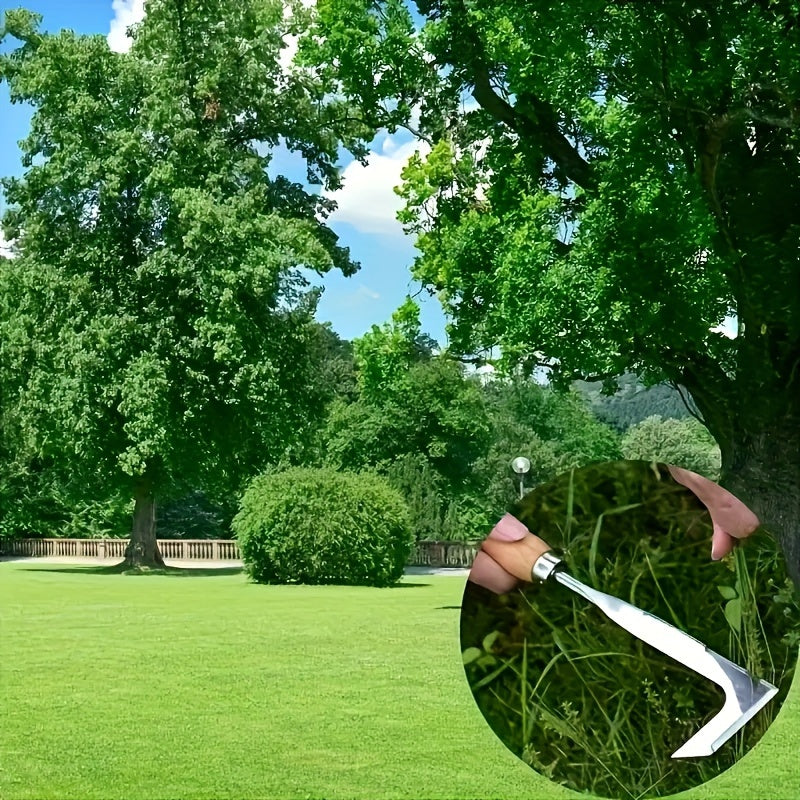 Arrache-mauvaises herbes pour allées – Efficace et pratique pour un travail rapide