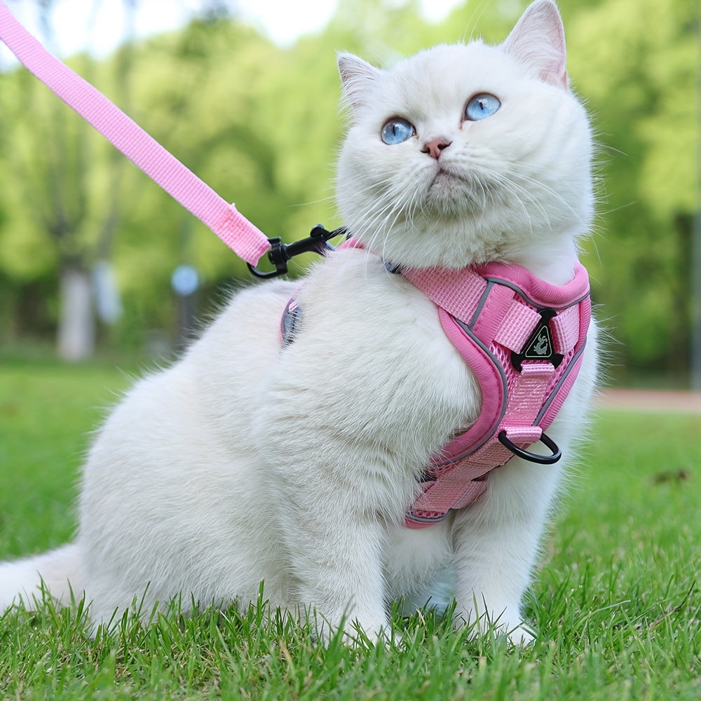 Harnais réfléchissant pour chat avec ensemble laisse – Idéal pour les promenades et l’entraînement