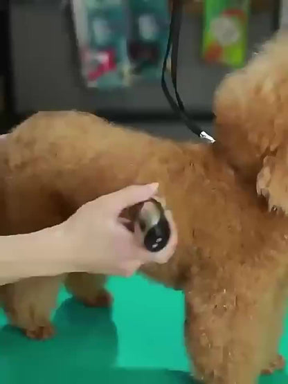 Tondeuse sans fil pour animaux – Rechargeable USB et silencieuse pour chiens et chats