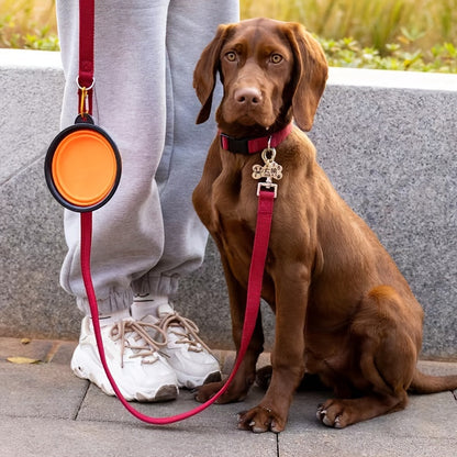 Gamelle pliable pour animaux – Durable et compacte pour chiens et chats