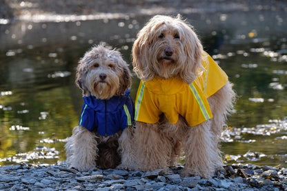 LumiChien - Imperméable Réfléchissant pour Chiens avec Capuche