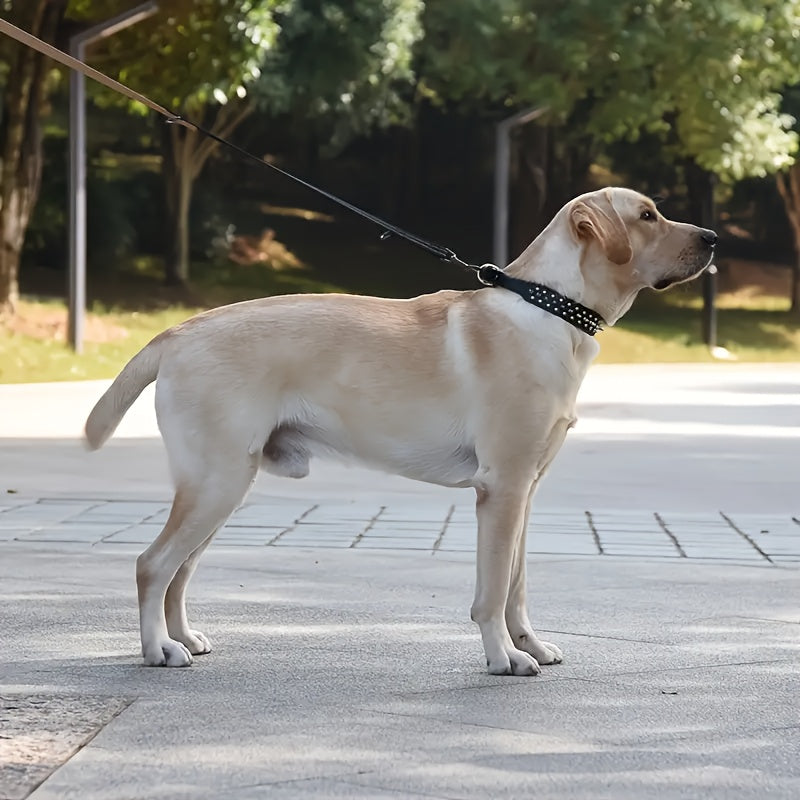 Collier pour chien clouté réglable – Robuste et sécurisée pour grands chiens