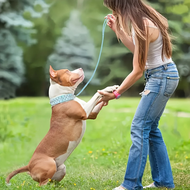 Collier pour chien clouté réglable – Robuste et sécurisée pour grands chiens