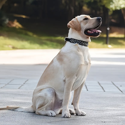 Collier pour chien clouté réglable – Robuste et sécurisée pour grands chiens