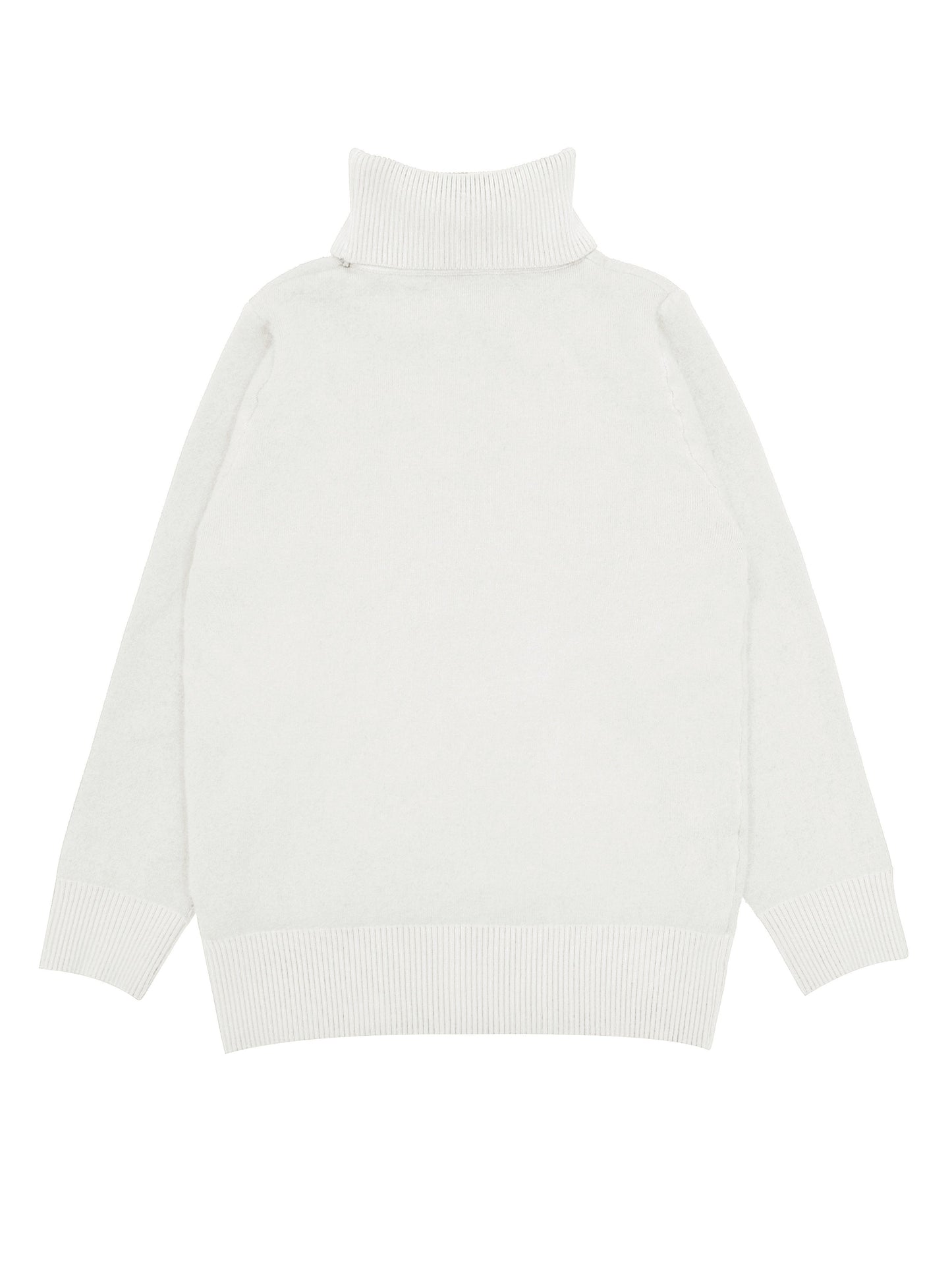 Pull Col Roulé Thermique - Confortable et Chaud pour les Jours Froids