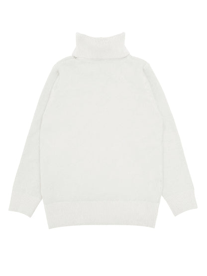 Pull Col Roulé Thermique - Confortable et Chaud pour les Jours Froids