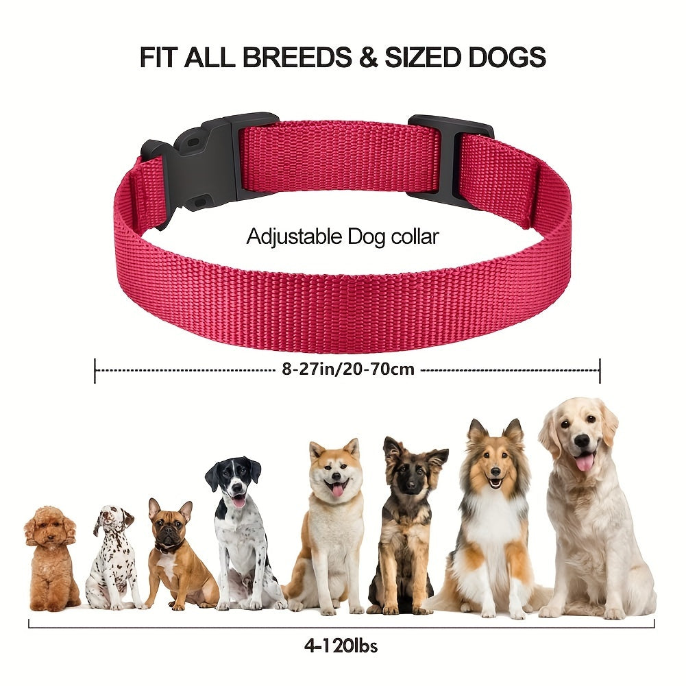 Collier pour chien rechargeable