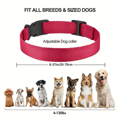 Collier pour chien rechargeable
