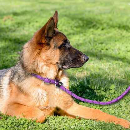 Laisse réfléchissante pour chien avec poignée rembourrée – Réglable et durable pour tous les chiens
