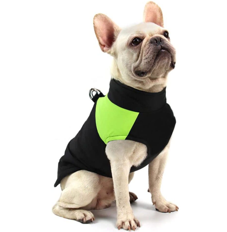 Manteau pour chiens CozyPaws - Chaleur et imperméabilité