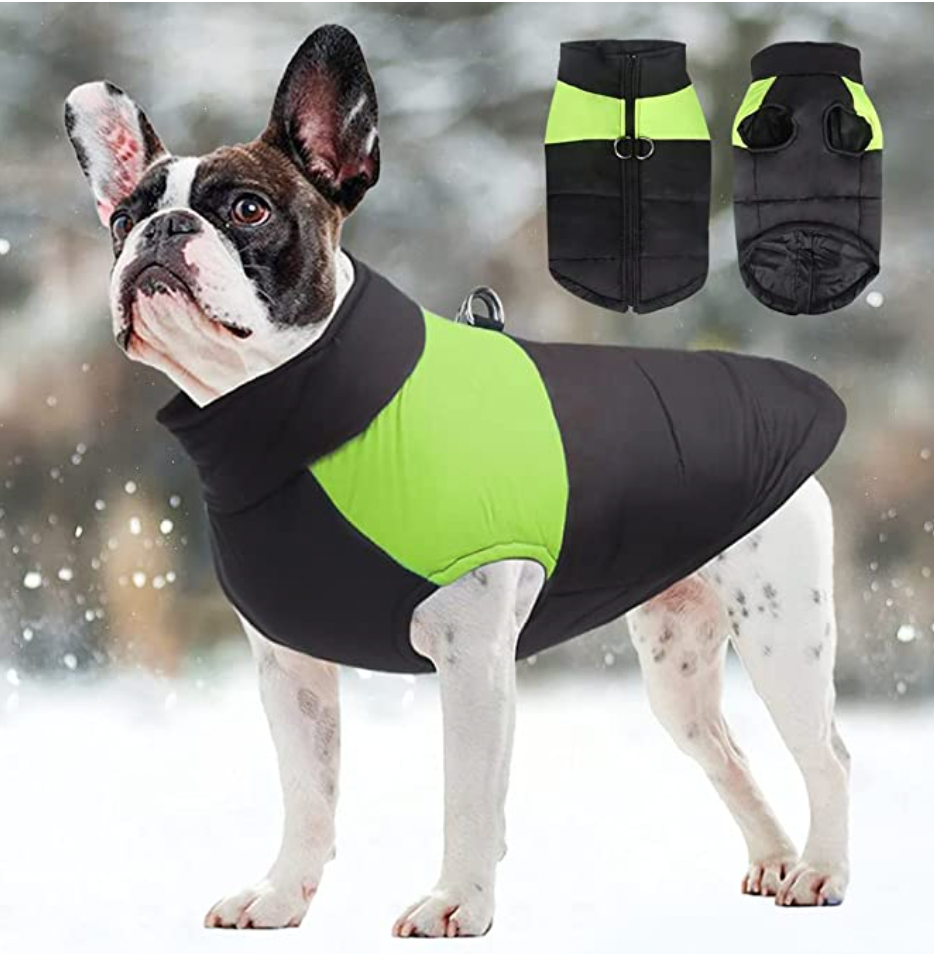 Manteau pour chiens CozyPaws - Chaleur et imperméabilité
