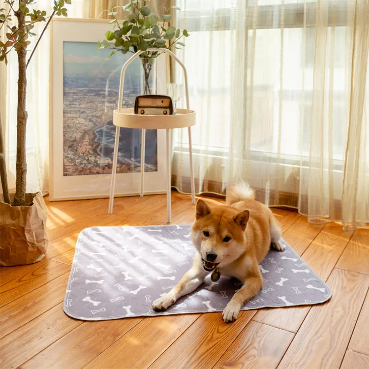 PetPlush - Tapis absorbant pour chien
