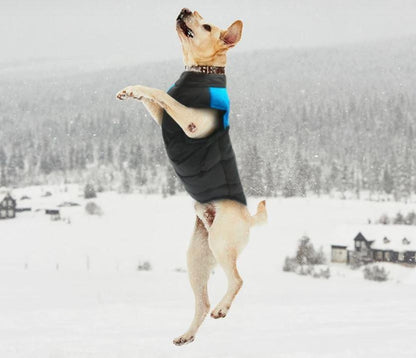 Manteau pour chiens CozyPaws - Chaleur et imperméabilité