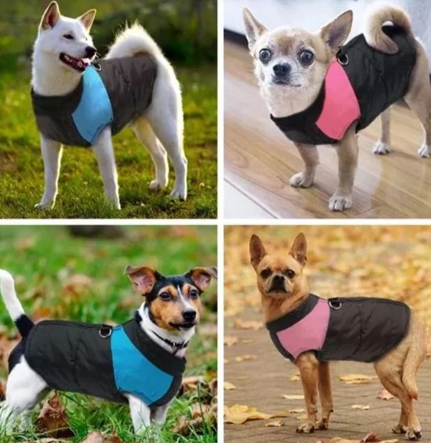 Manteau pour chiens CozyPaws - Chaleur et imperméabilité