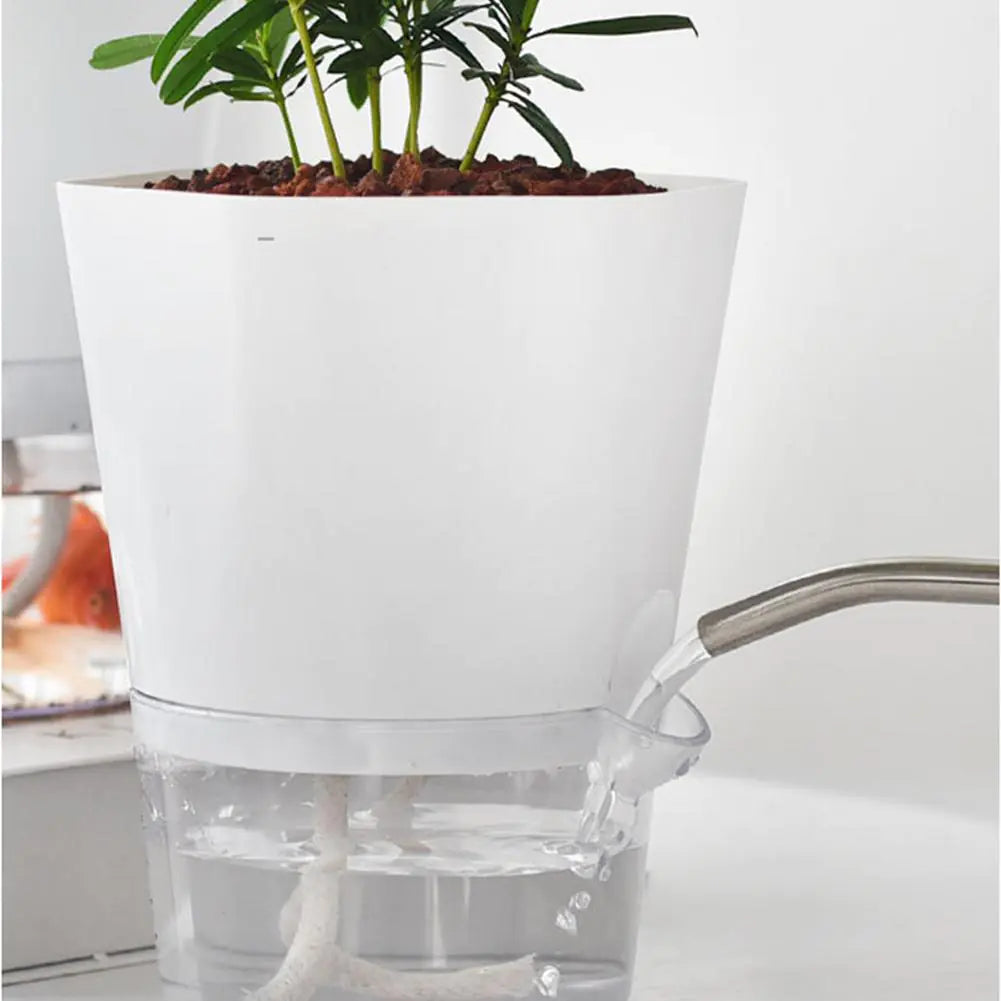 AquaPlanter - Pot de Fleurs Intelligent et Mini Aquarium en Un
