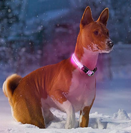 Pro Sécurité Canine - Collier LED pour chiens - Combinez style et sécurité lors des promenades