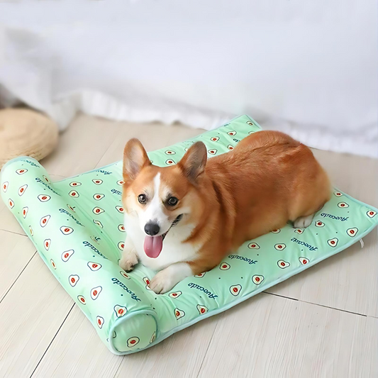 PetChill - Tapis rafraîchissant pour chiens et chats