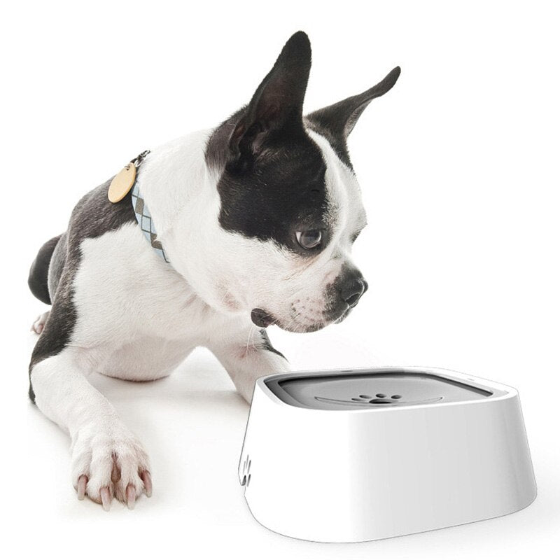 Fontaine à Eau PawsFlow - Une Hydratation Fraîche et Propre pour Votre Chien
