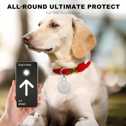 Ziggy Traceur pour Animaux – Des Aventures Sans Souci