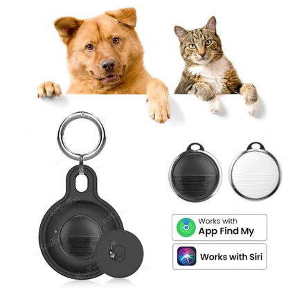 Ziggy Traceur pour Animaux – Des Aventures Sans Souci