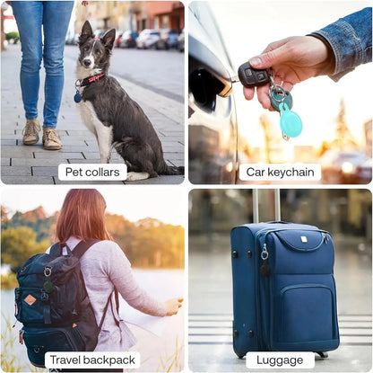 Ziggy Traceur pour Animaux – Des Aventures Sans Souci