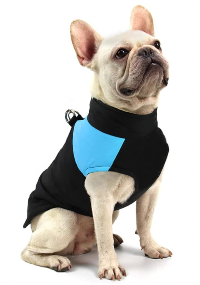 Manteau pour chiens CozyPaws - Chaleur et imperméabilité