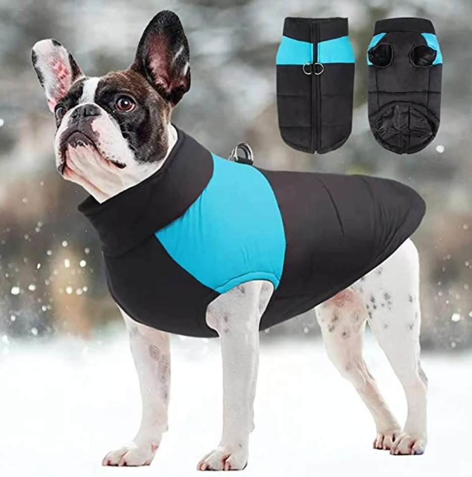 Manteau pour chiens CozyPaws - Chaleur et imperméabilité