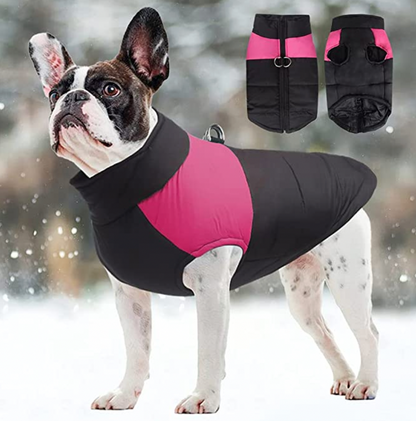 Manteau pour chiens CozyPaws - Chaleur et imperméabilité