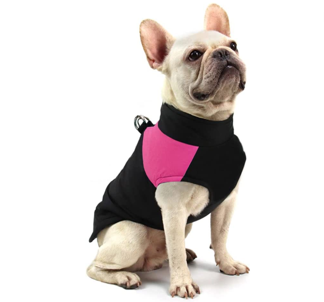 Manteau pour chiens CozyPaws - Chaleur et imperméabilité