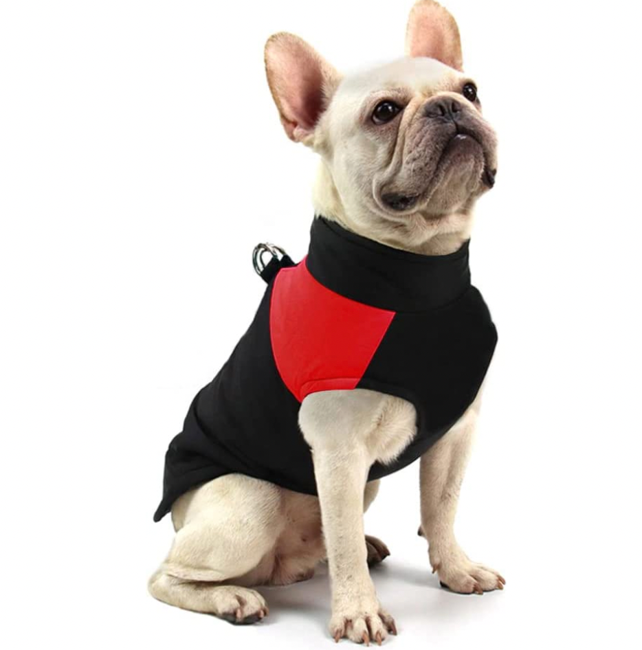 Manteau pour chiens CozyPaws - Chaleur et imperméabilité