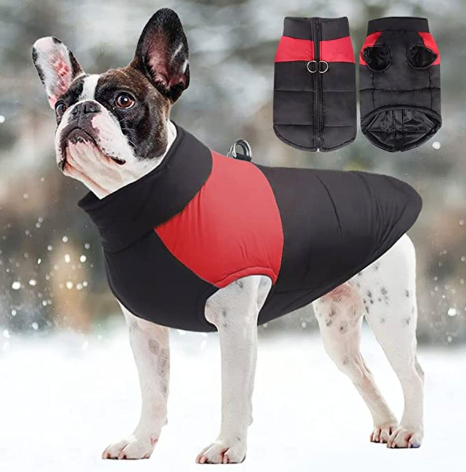 Manteau pour chiens CozyPaws - Chaleur et imperméabilité