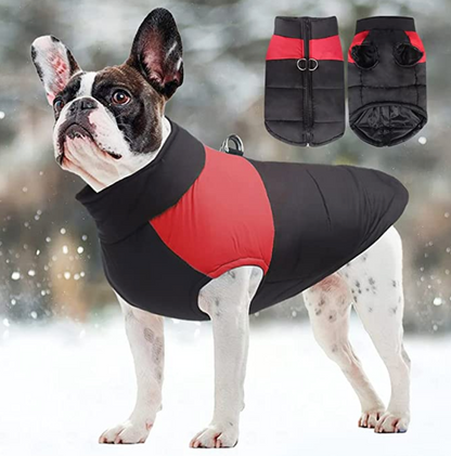Manteau pour chiens CozyPaws - Chaleur et imperméabilité