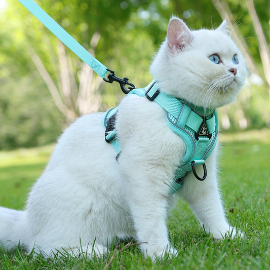 Harnais réfléchissant pour chat avec ensemble laisse – Idéal pour les promenades et l’entraînement